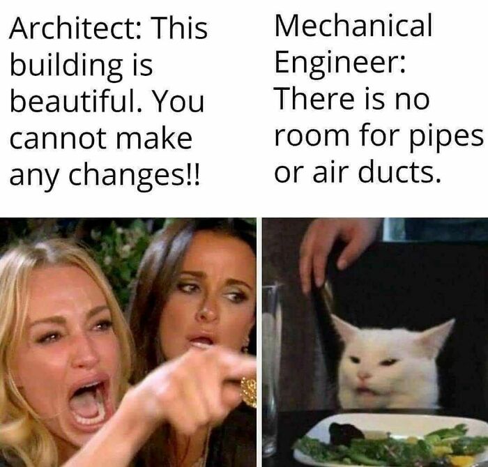 Engineers meme: arguing woman states building can't change; cat responds there's no room for pipes or ducts.