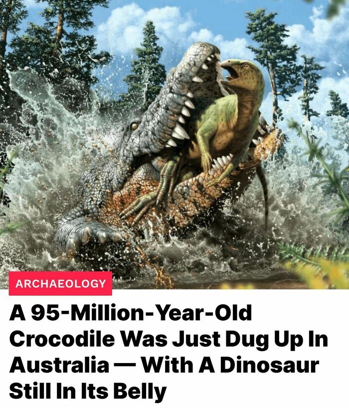 Curious-Interesting-Facts