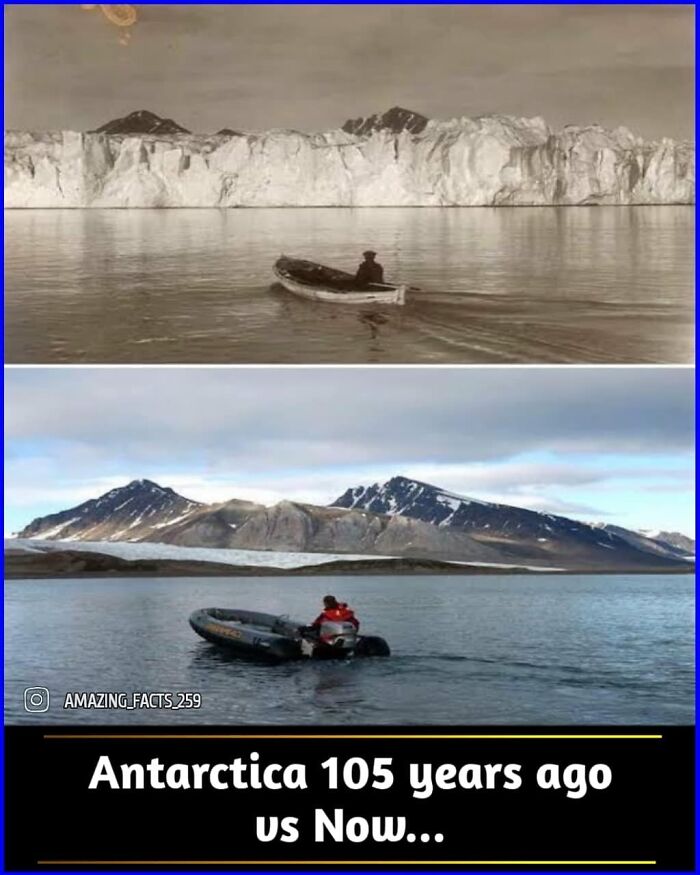 Amazing-Interesting-Facts
