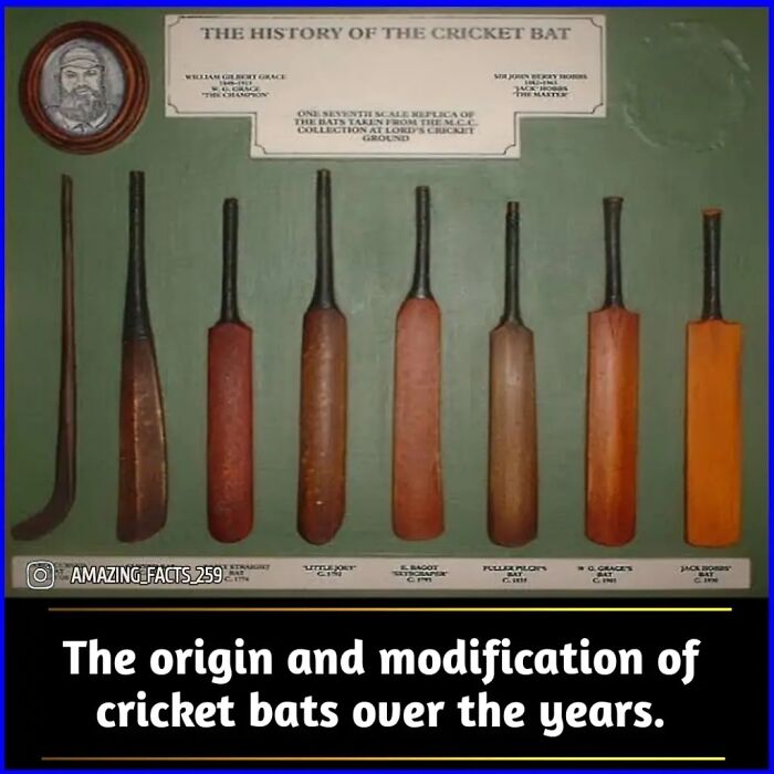 Amazing-Interesting-Facts