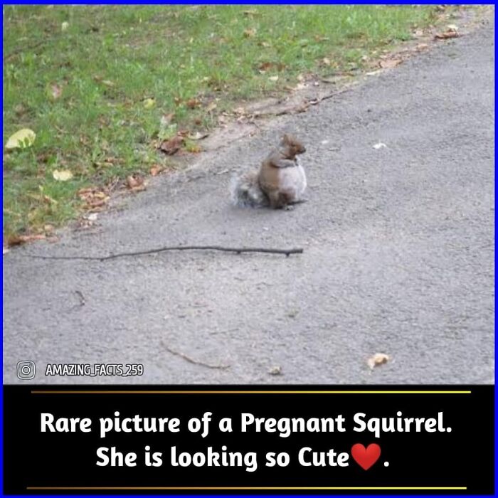 Amazing-Interesting-Facts