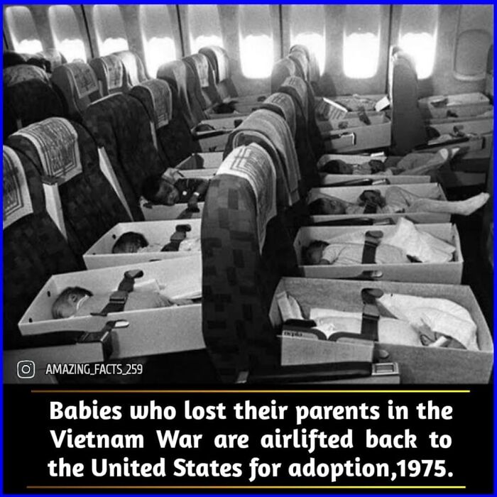 Amazing-Interesting-Facts