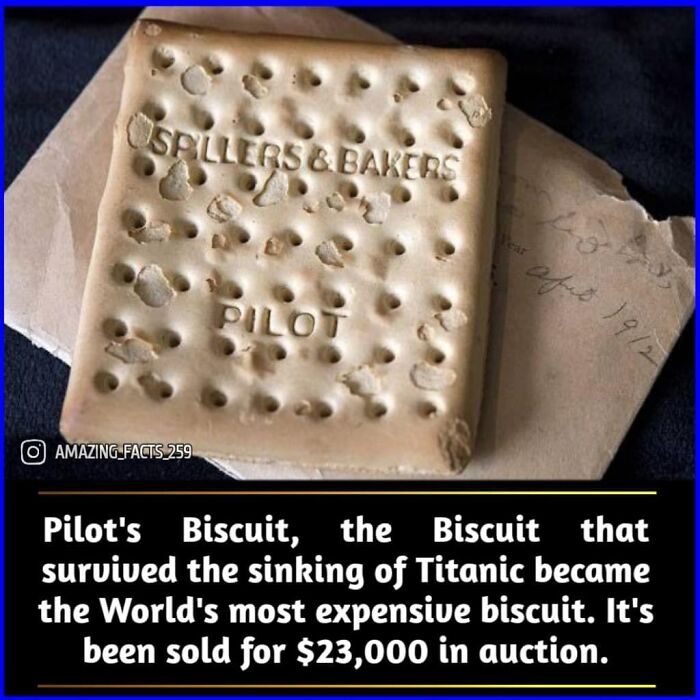 Amazing-Interesting-Facts