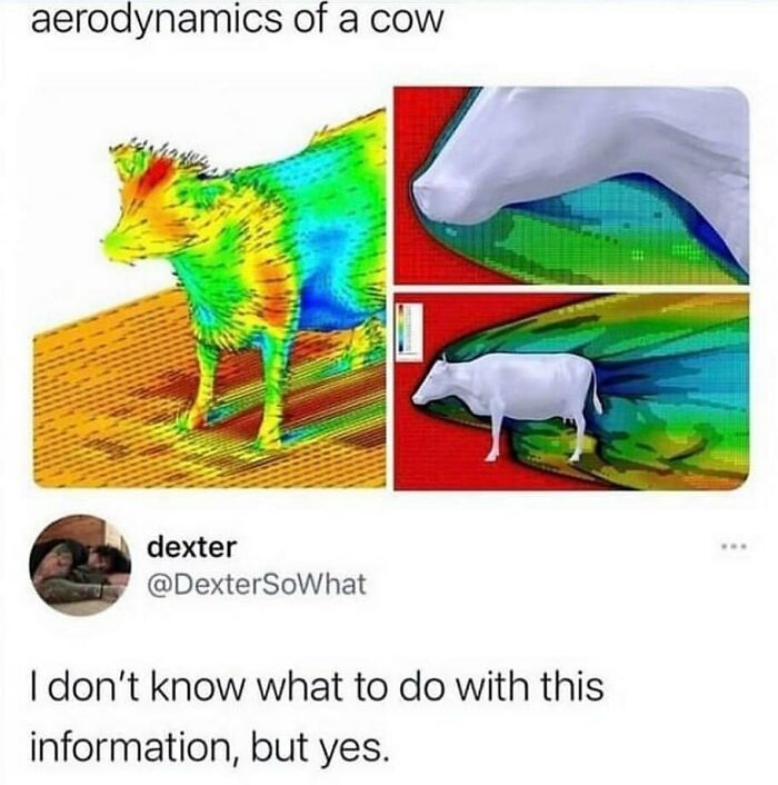Computational fluid dynamics meme for engineers, featuring cow aerodynamics analysis.
