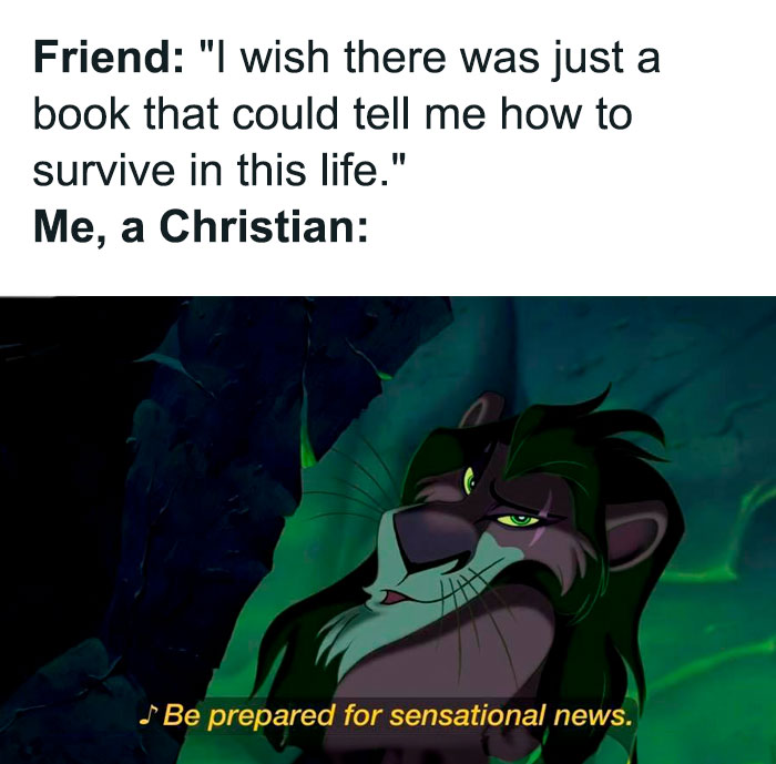 Christian meme featuring a cartoon lion with text about finding guidance in a book.