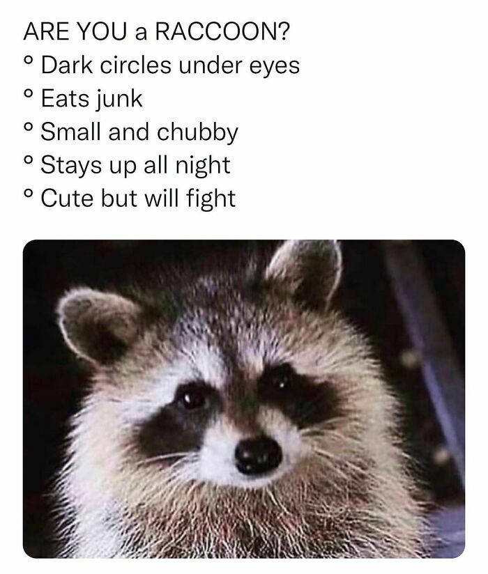 Funny-Random-Memes-Thehilarious-Ted