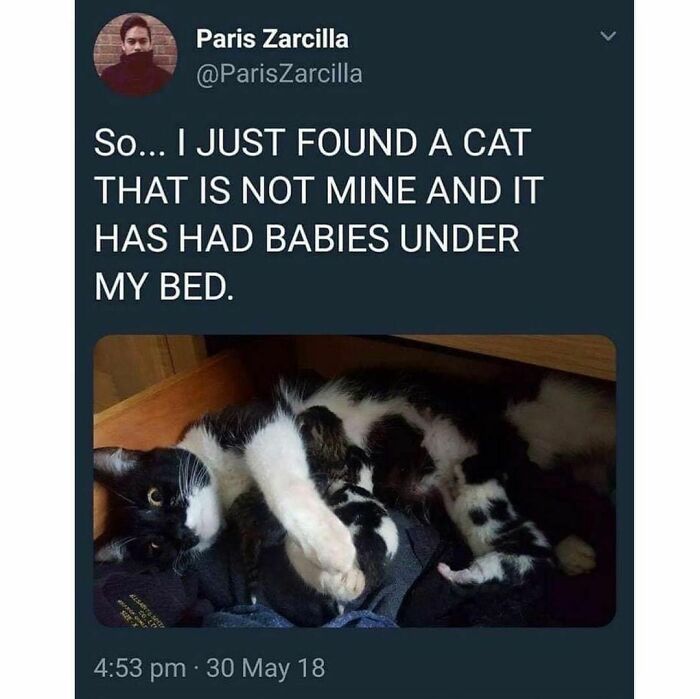 Funny-Random-Memes-Thehilarious-Ted