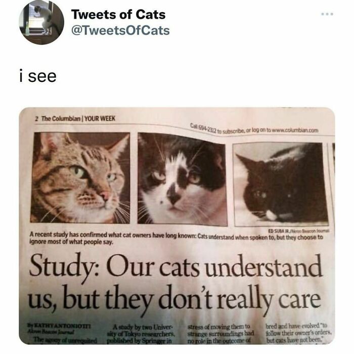 Funny-Random-Memes-Thehilarious-Ted