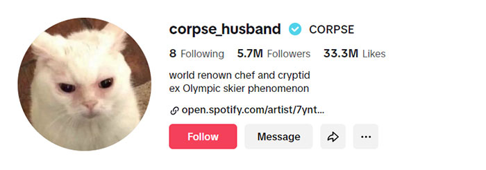 Corpse Husband's TikTok profile with 5.7M followers, featuring a white angry cat avatar. Bio humorously claims to be a renowned chef and cryptid, ex-Olympic skier phenomenon. Corpse Husband's TikTok profile with 5.7M followers, featuring a white angry cat avatar. Bio humorously claims to be a renowned chef and cryptid, ex-Olympic skier phenomenon.