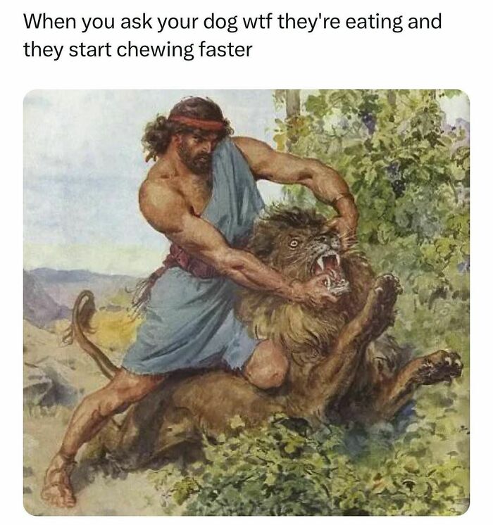 Funny-Random-Memes-Thehilarious-Ted