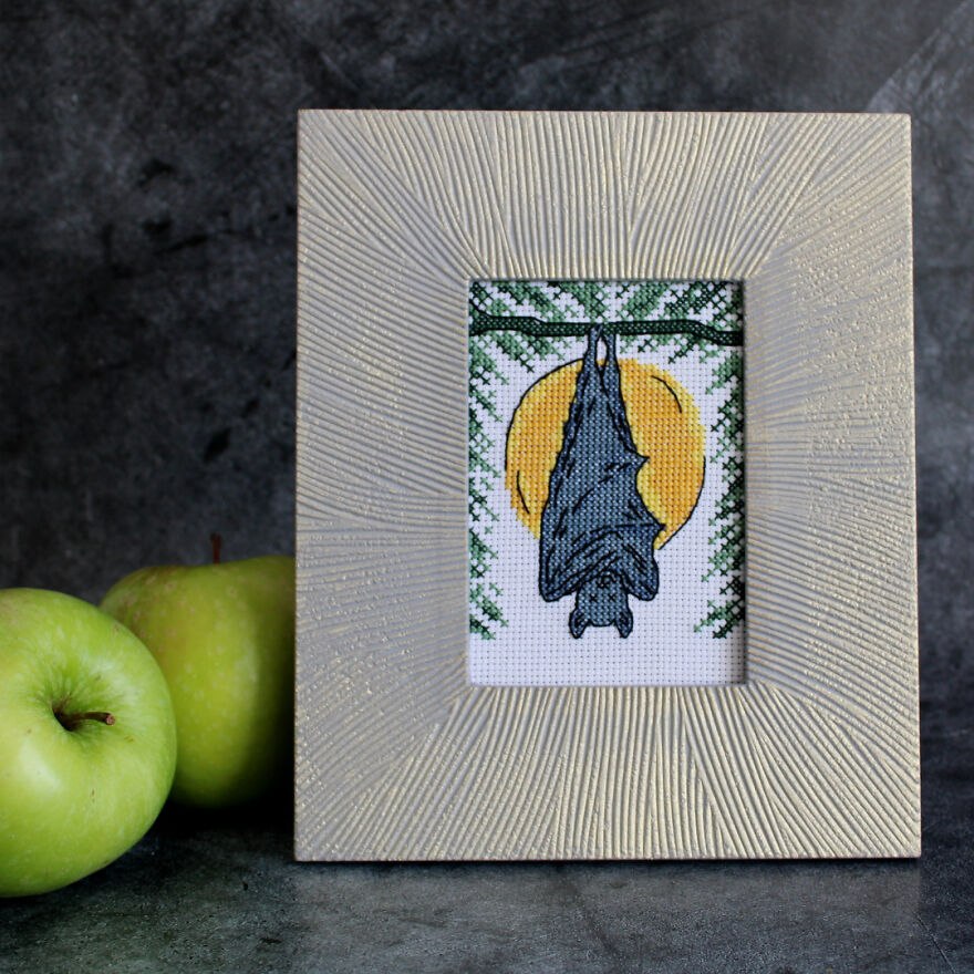 I Really Like This Frame ☺