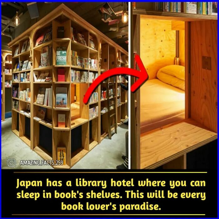Library hotel in Japan with sleeping pods inside bookshelves, a fascinating fact for book lovers shared on Amazing Facts.