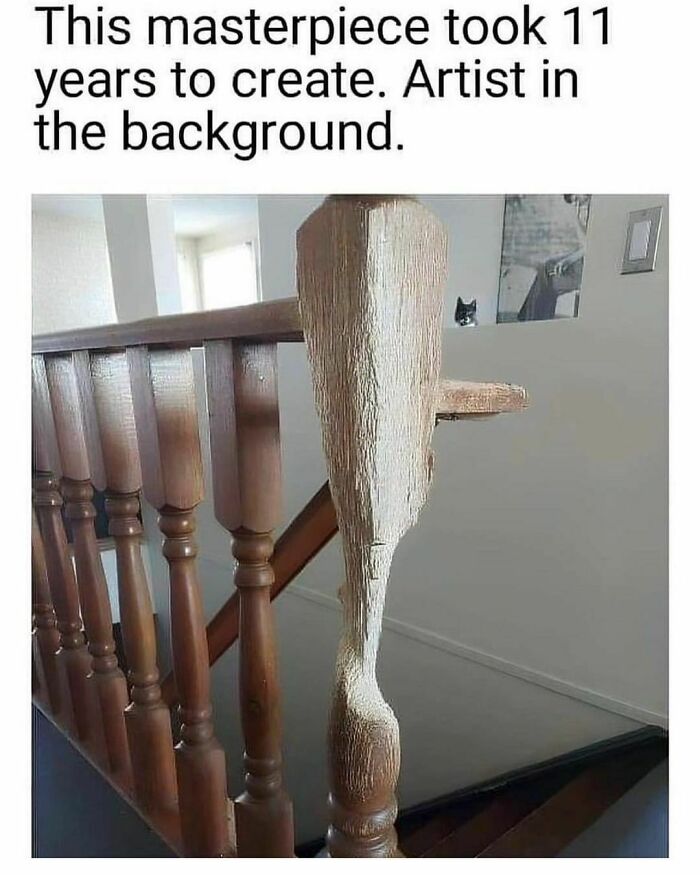 Funny-Random-Memes-Thehilarious-Ted