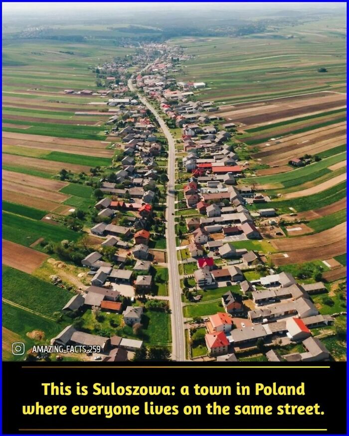 Amazing-Interesting-Facts