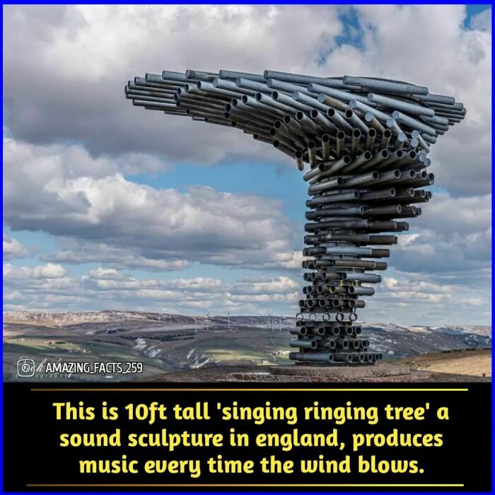 10ft tall singing ringing tree sound sculpture in England producing music when the wind blows fascinating amazing facts