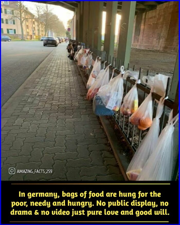 Bags of food hung along a fence in Germany providing aid to the poor and needy, showing amazing facts of kindness.