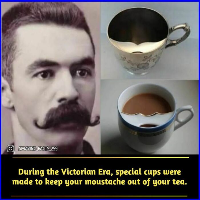 Victorian Era special tea cups designed to keep moustaches dry while drinking, fascinating amazing facts shared.