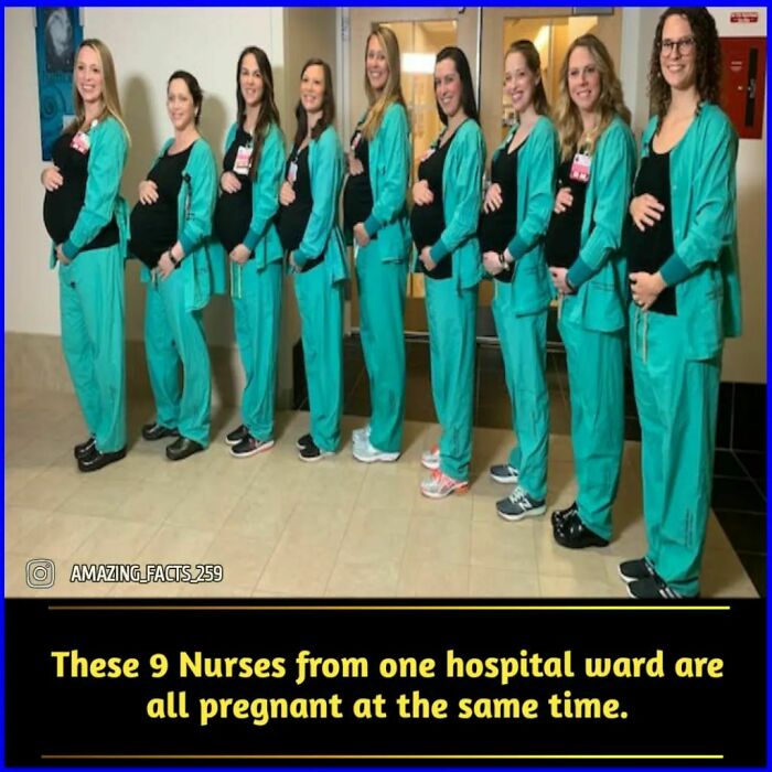 Amazing-Interesting-Facts