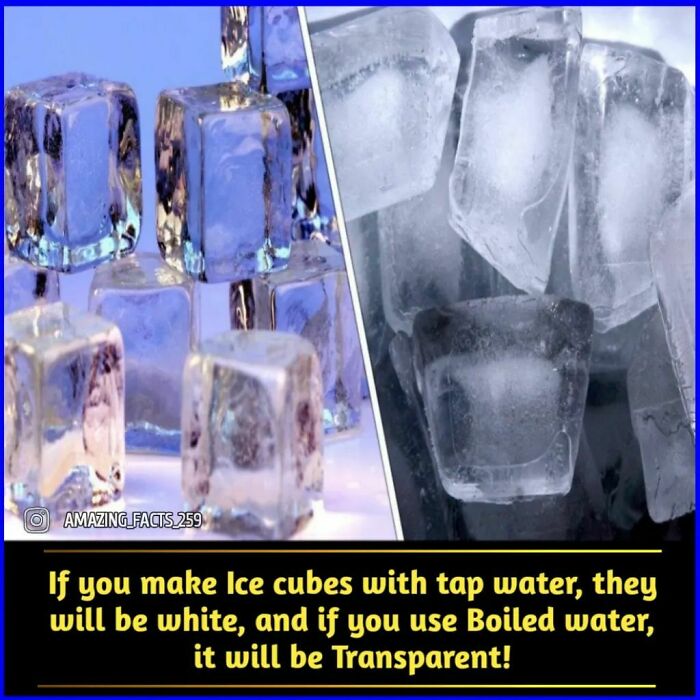 Amazing-Interesting-Facts