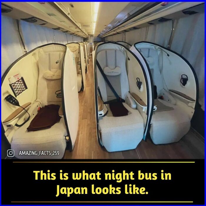 Amazing-Interesting-Facts