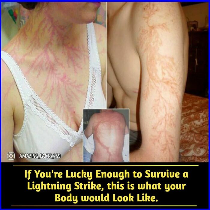 Amazing-Interesting-Facts