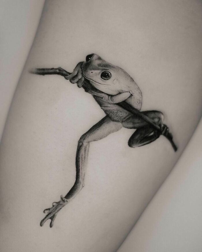 Realistic frog tattoo on arm, showcasing detailed artistry and creativity.
