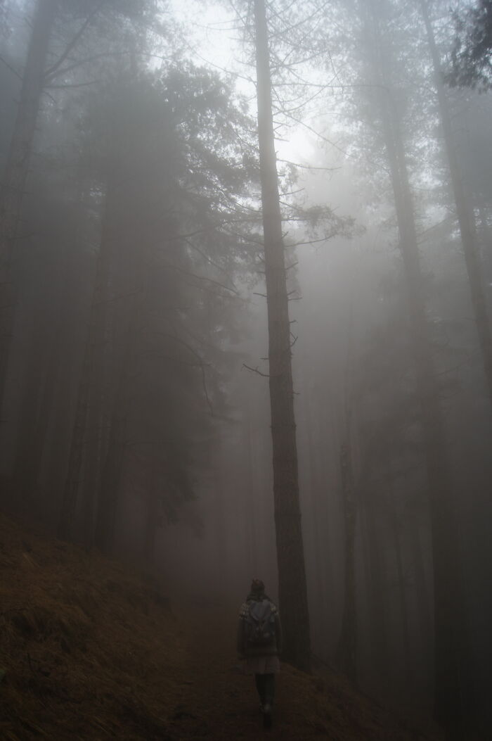 Another Hike Of Mine : Italian Alp Mountains, February 2018
