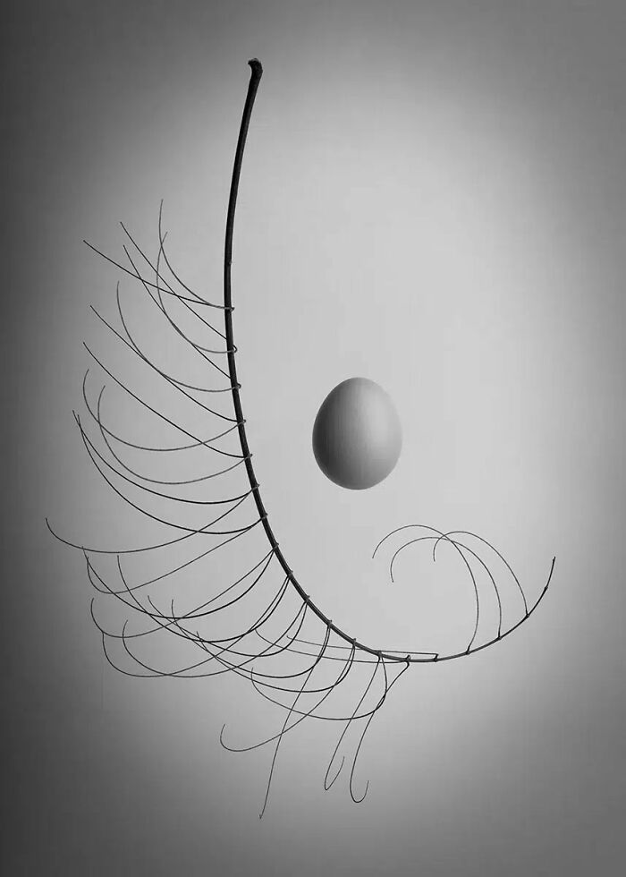 Open Photographer Of The Year: The Unseen Poem By Richard Bentley