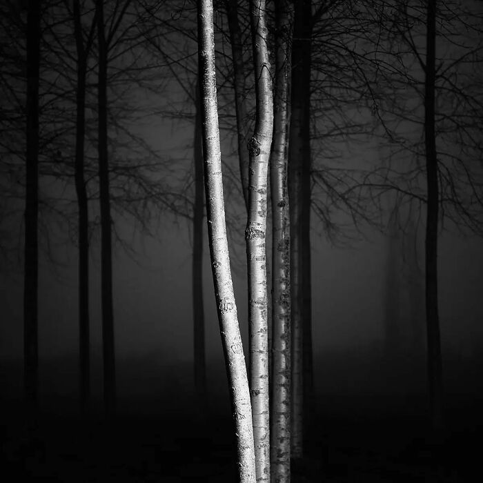 Night, 3rd Place Winner: The Night Dissolves By Pierre Pellegrini