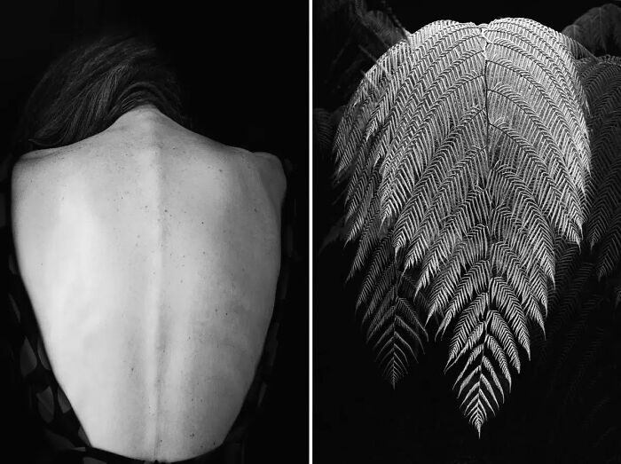 Conceptual, 2nd Place Winner: Interwoven By Paula Aranoa