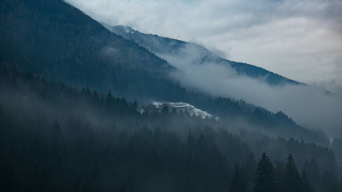 Trees On Side Of Mountain Covered With Fog At Daytime