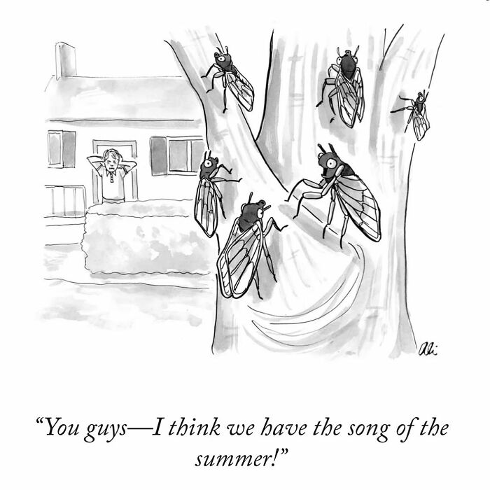 Hilarious One-Panel Comics By Ali Solomon (New Pics)