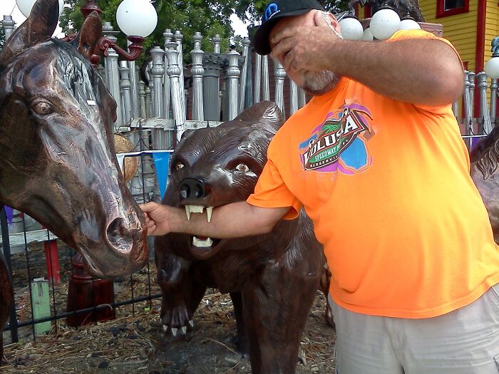 I Just Wanted To Pet Your Horse