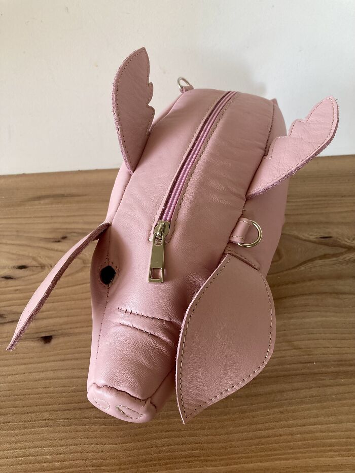 Pigs And Bags (11 Pics)