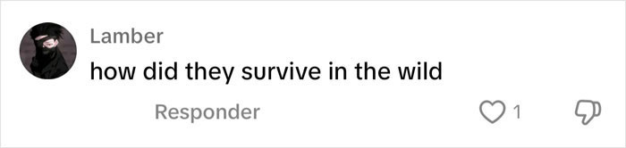 Screenshot of a comment questioning how pandas survive in the wild, with one like. Screenshot of a comment questioning how pandas survive in the wild, with one like.