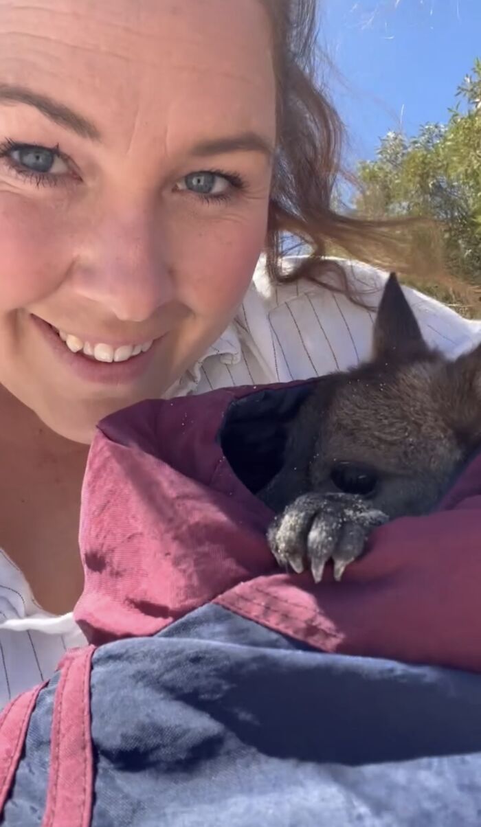 Pup And Baby Kangaroo Who Was Hit By Car Form Adorable Friendship After Family Rescues Her Pup And Baby Kangaroo Who Was Hit By Car Form Adorable Friendship After Family Rescues Her