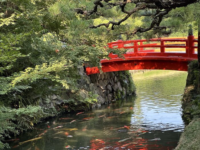 Clean, Beautiful, Vibrant