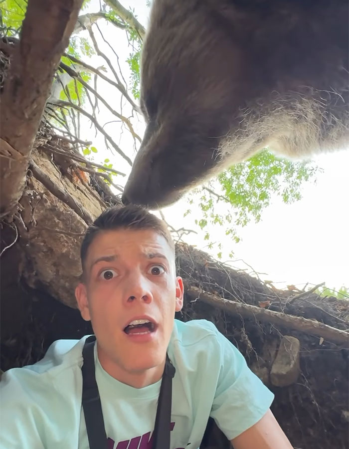 Man Enters Bear Den, Films Terrifying Face-To-Face Encounter When It Comes Home