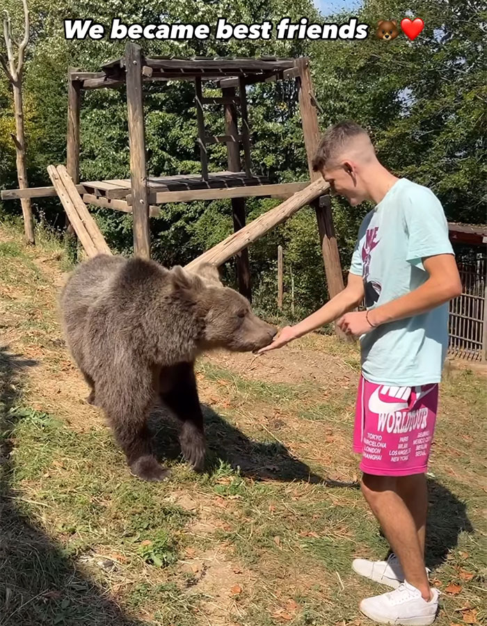 Man Enters Bear Den, Films Terrifying Face-To-Face Encounter When It Comes Home