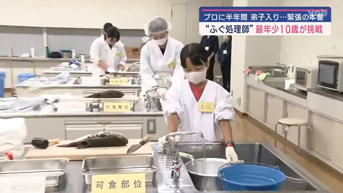 10-Year-Old Becomes Youngest To Pass Fugu Certification Test Amidst High Failure Rate 10-Year-Old Becomes Youngest To Pass Fugu Certification Test Amidst High Failure Rate