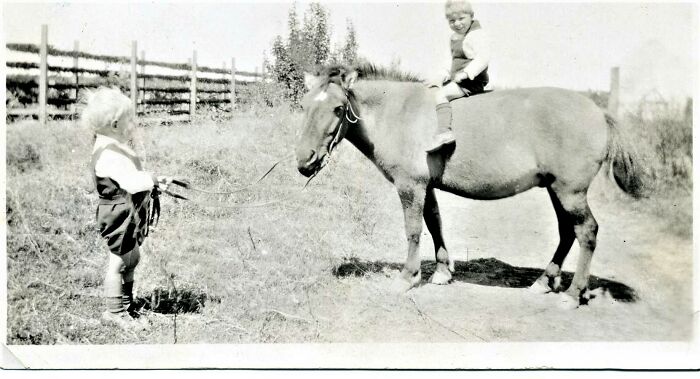 My Pop Holding The Reins While My Grandfather Rode The Pony
