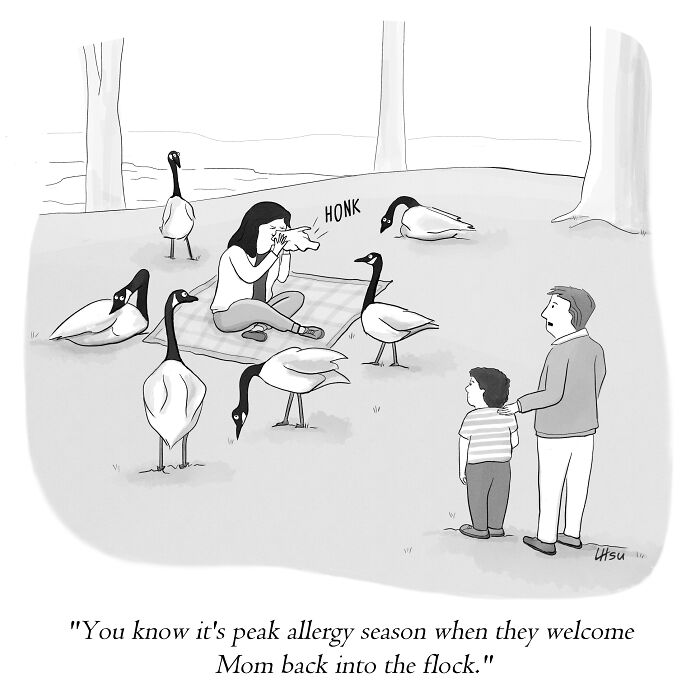 Single-panel cartoon shows a woman sneezing among geese, illustrating funny allergy season moments.