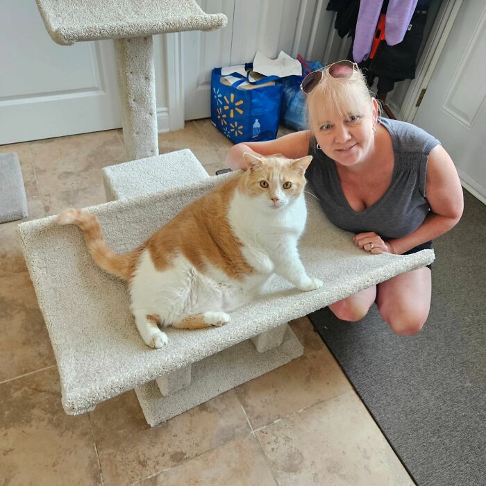 Meet Axel: The 43-Pound Cat Whose Weight Loss Journey Will Melt Your Heart Meet Axel: The 43-Pound Cat Whose Weight Loss Journey Will Melt Your Heart