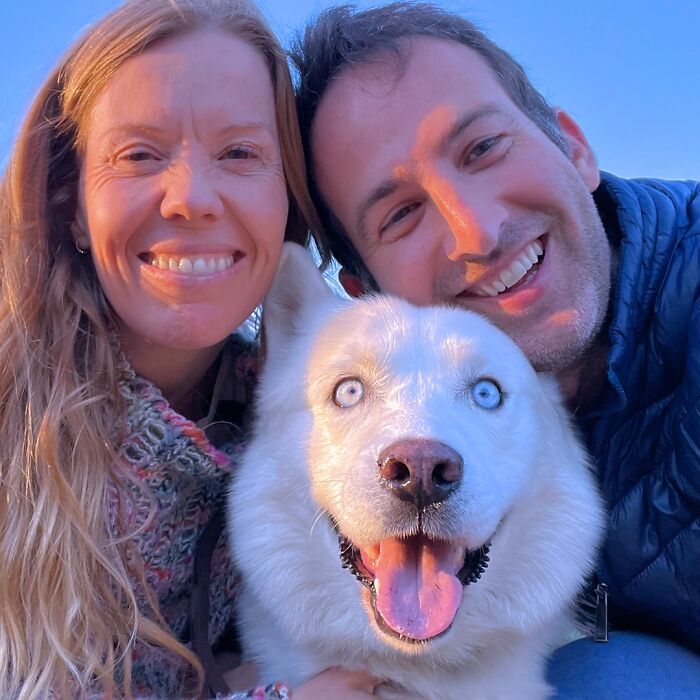 Overcoming Disability: This Dog&rsquo;s Prancing Walk Steals Hearts On The Internet