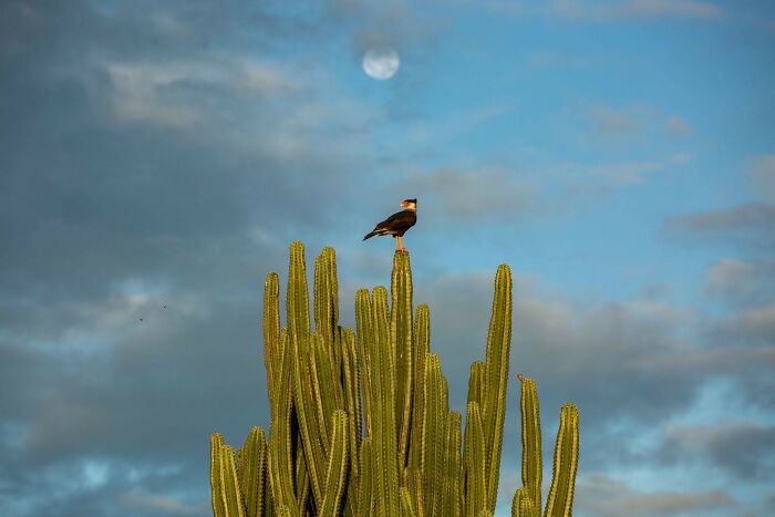 Meet The Captivating Images Of Award-Winning Photographer Antonio Cascio