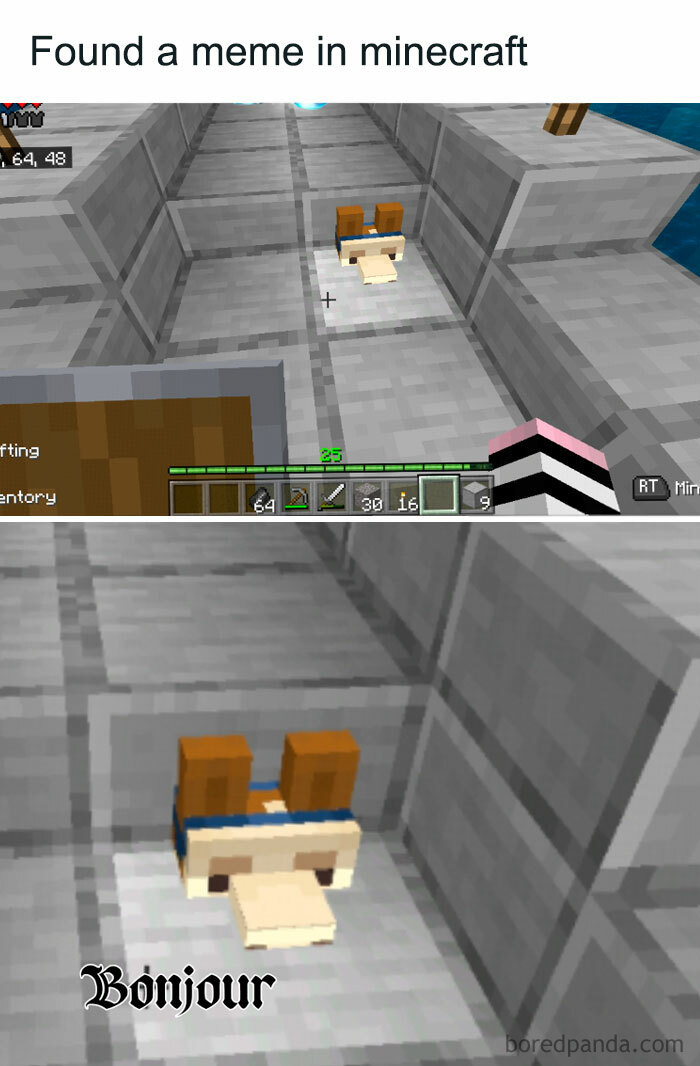 A Minecraft meme showing two in-game screenshots of a llama's head stuck in a block, appearing upside down and peeking through the floor. The top text reads, "Found a meme in Minecraft." In the second, zoomed-in image, the text "Bonjour" is added humorously in a fancy font, making the llama look like it's politely greeting the player with a French salutation while in an awkward position.