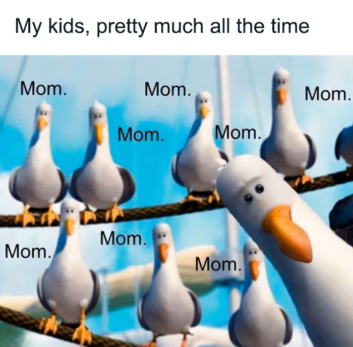 Seagulls repeating "Mom" meme, humorously depicting kids constantly calling for mom.