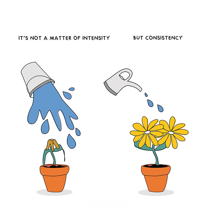 Motivational meme with two plants: one wilting from overwatering, another blooming from consistent care.