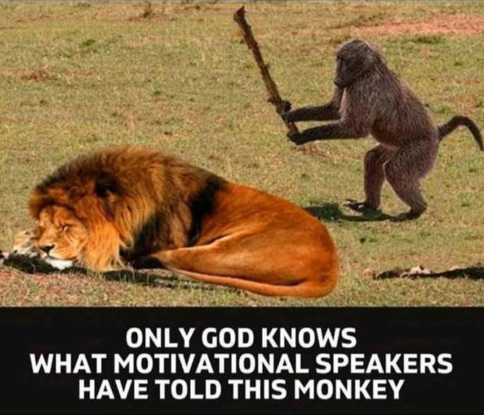 Motivational meme with a monkey holding a stick near a sleeping lion, humorously questioning motivational speaker advice.
