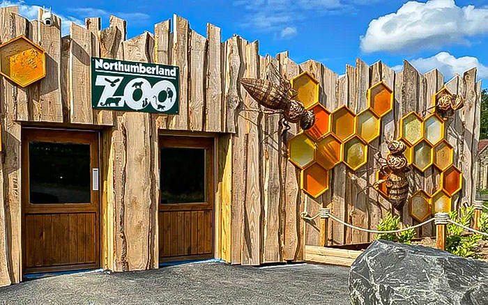 Boomer Couple&rsquo;s &ldquo;Gen Z Style&rdquo; Tour Of Zoo Goes Viral, People Call It &ldquo;Marketing Genius&rdquo;